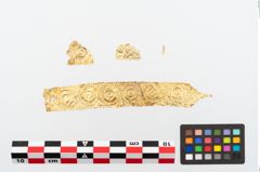 Foto von Goldfolienbeschlag (NHMW-PRAE-026400)